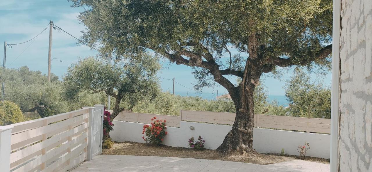 Villa Zante Avia Planos  Exterior photo